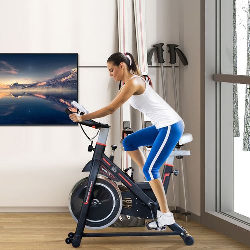 8kg Flywheel Exercise Racing Bicycle Cardio Adjustable Resistance LCD HOMCOM