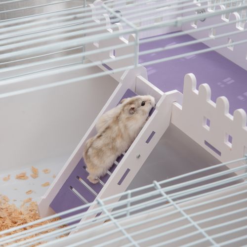 Two-Tier Hamster Cage Gerbil Haven w/Exercise Wheel Water Bottle Ladder White