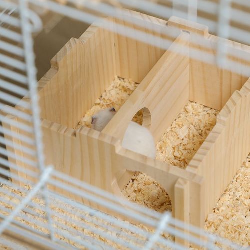 Hamster Cage Gerbilarium Cage w/ Deep Bottom Ramp Exercise Wheel PawHut